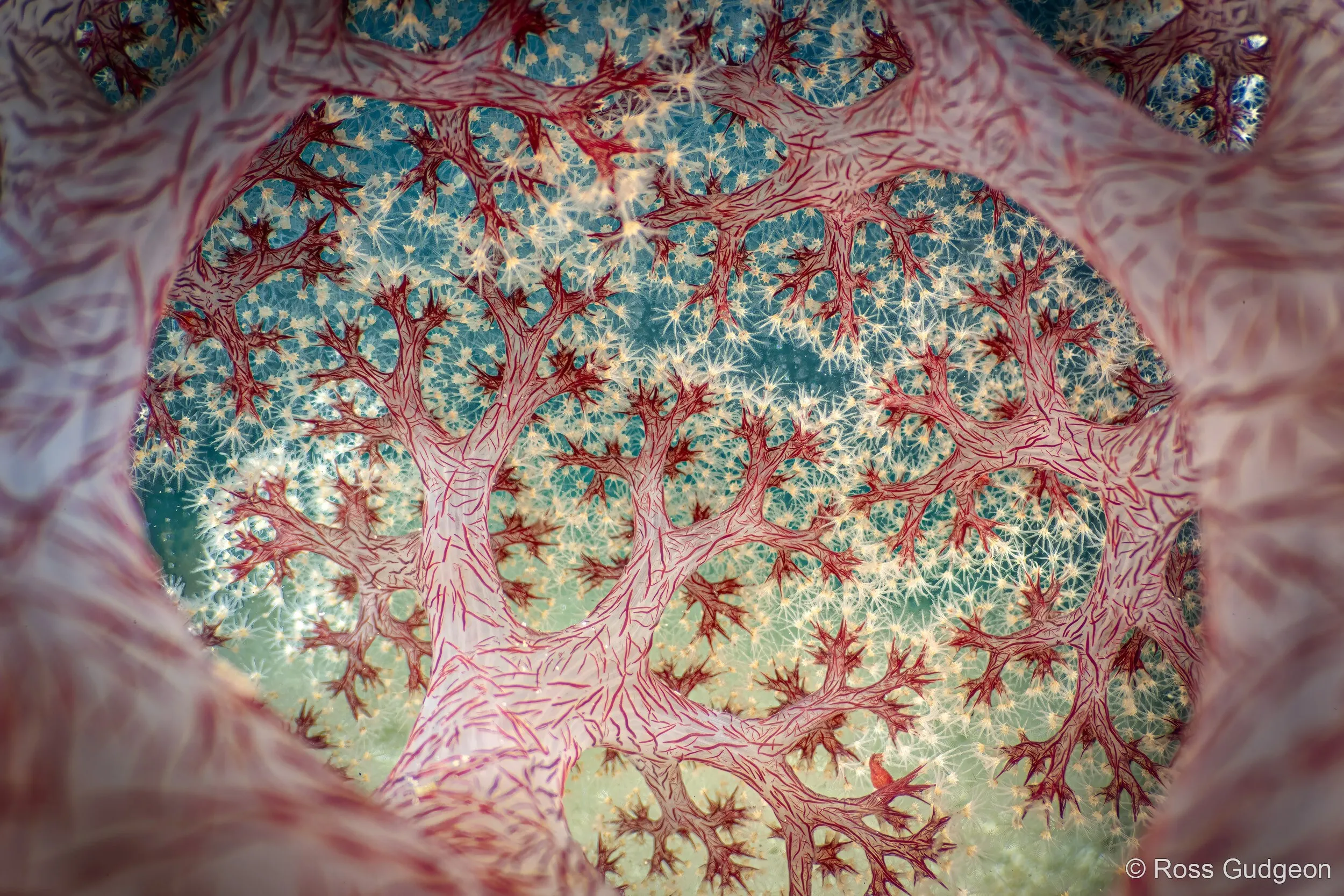 Close up of landscape photo