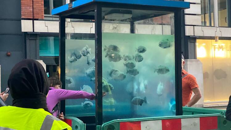 Banksy piranhas artwork in London