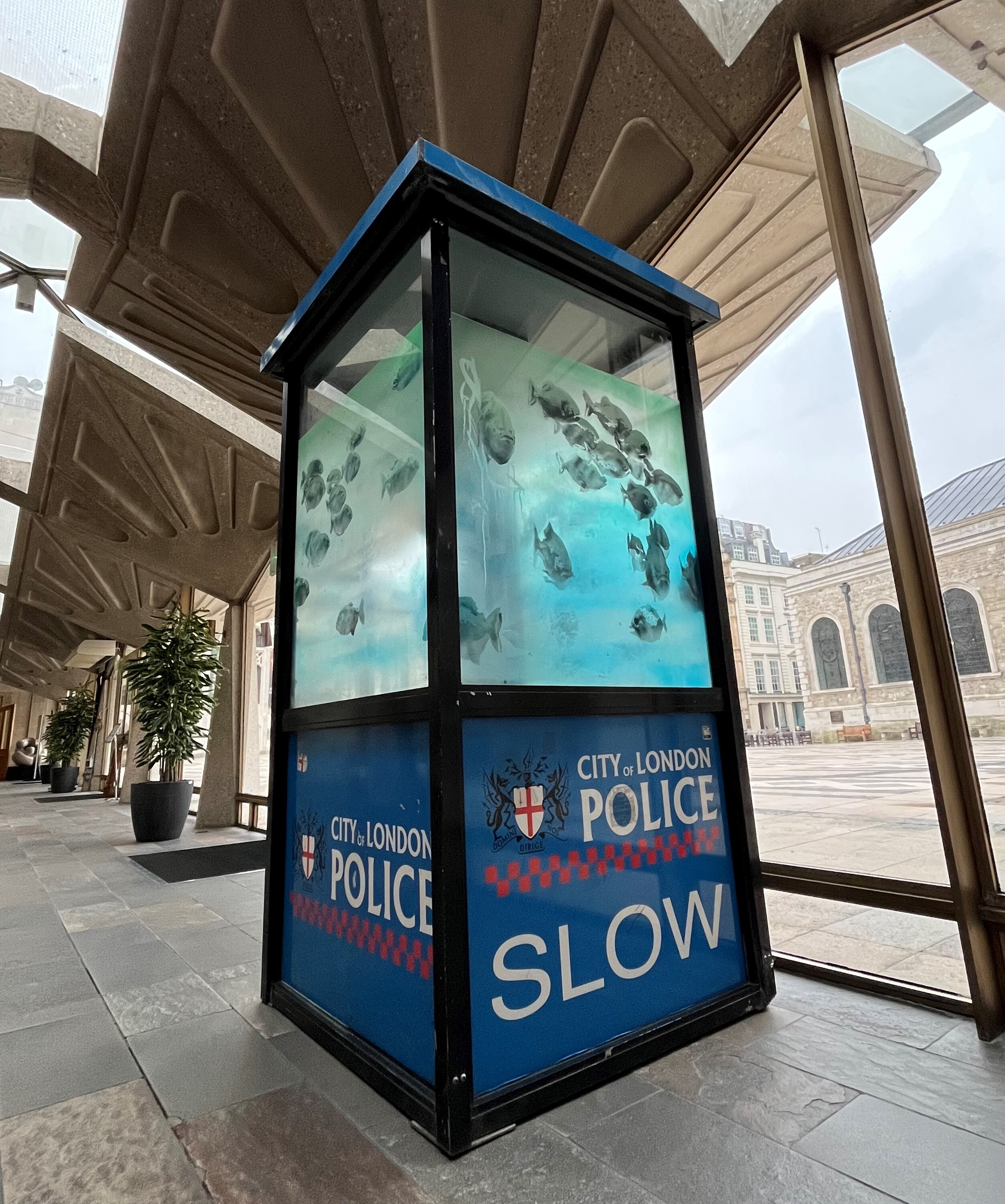 Banksy 'Piranhas' at Guildhall 