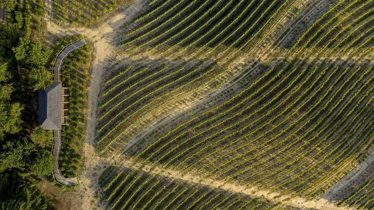 Valverde Santar Hotel & Spa