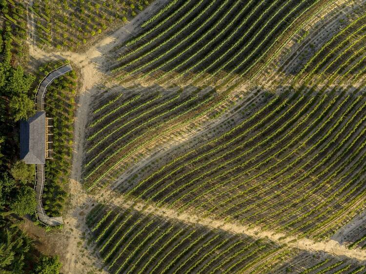 Valverde Santar Hotel & Spa