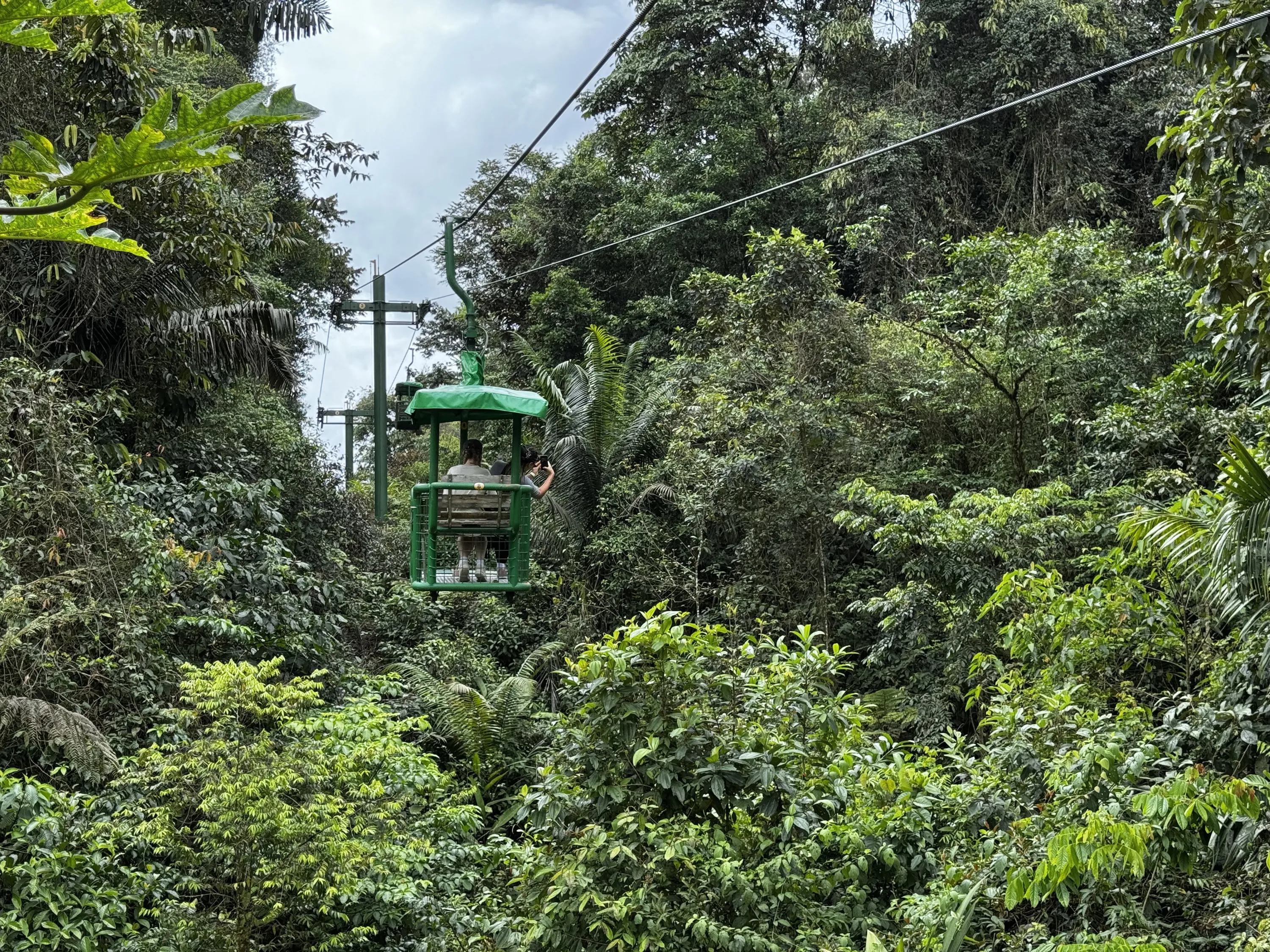 rainforest-adventure