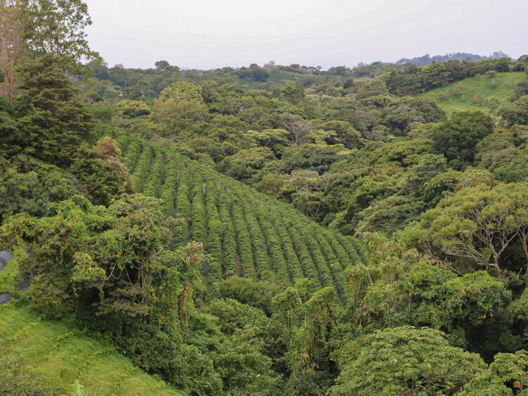 costa-rica
