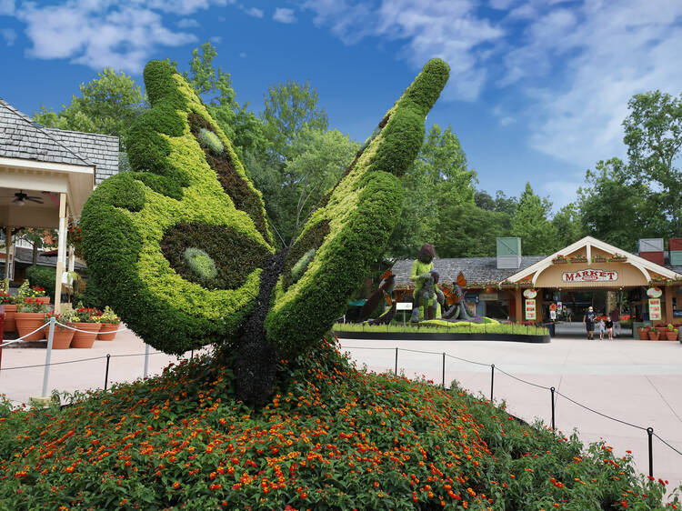 Dollywood Flower & Food Festival