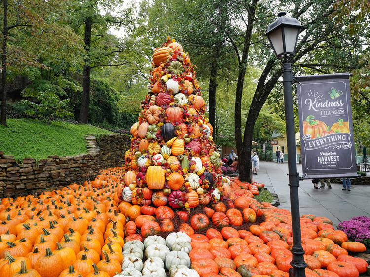 Dollywood Harvest Festival