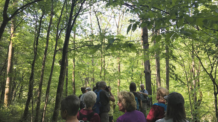Pigeon Forge Wilderness Wildlife Week