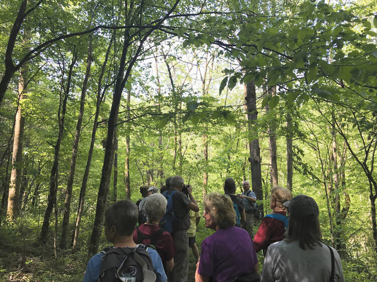 Pigeon Forge Wilderness Wildlife Week