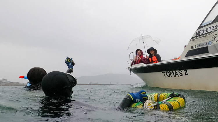 Observe Ama divers up close on a boat