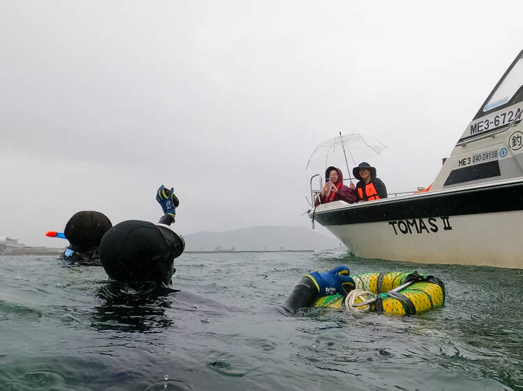 Observe Ama divers up close on a boat