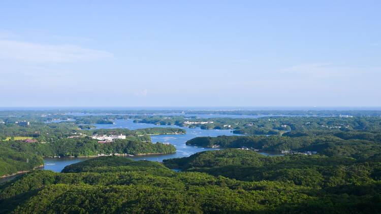 Unwind and immerse yourself in nature on these accessible tours of Ise Shima National Park