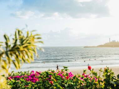 Sunshine Coast Sunshine Coast