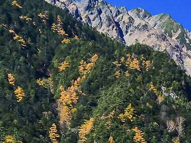 รวมจุดแคมป์ปิ้งทั่วญี่ปุ่น กางเต็นท์นอนกลางดาวแบบสุดโรแมนติก รวมจุดแคมป์ปิ้งทั่วญี่ปุ่น กางเต็นท์นอนกลางดาวแบบสุดโรแมนติก