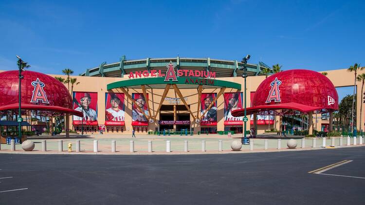 Angels MLB Baseball Season