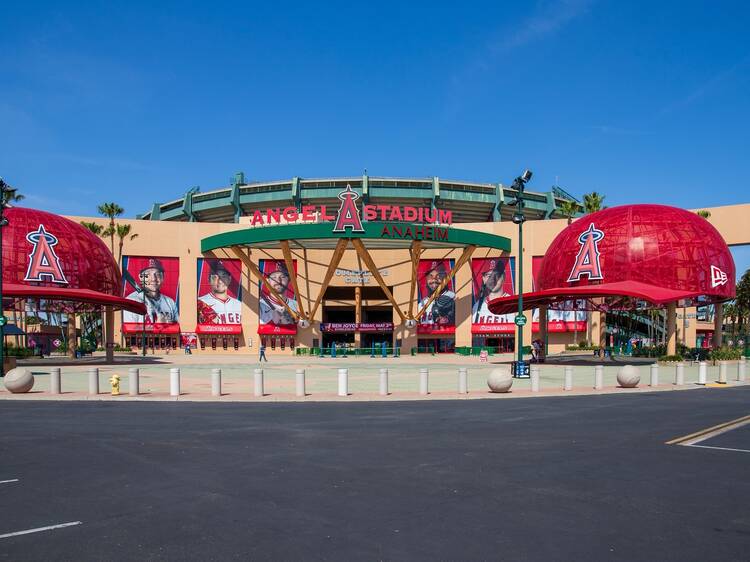 Angels MLB Baseball Season