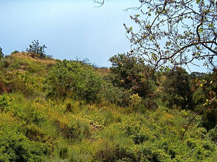 Oak Canyon Nature Center