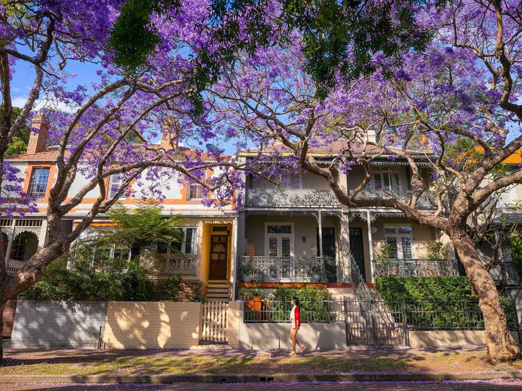Hot property: Australia’s 10 most popular postcodes have been revealed for 2025 Hot property: Australia’s 10 most popular postcodes have been revealed for 2025