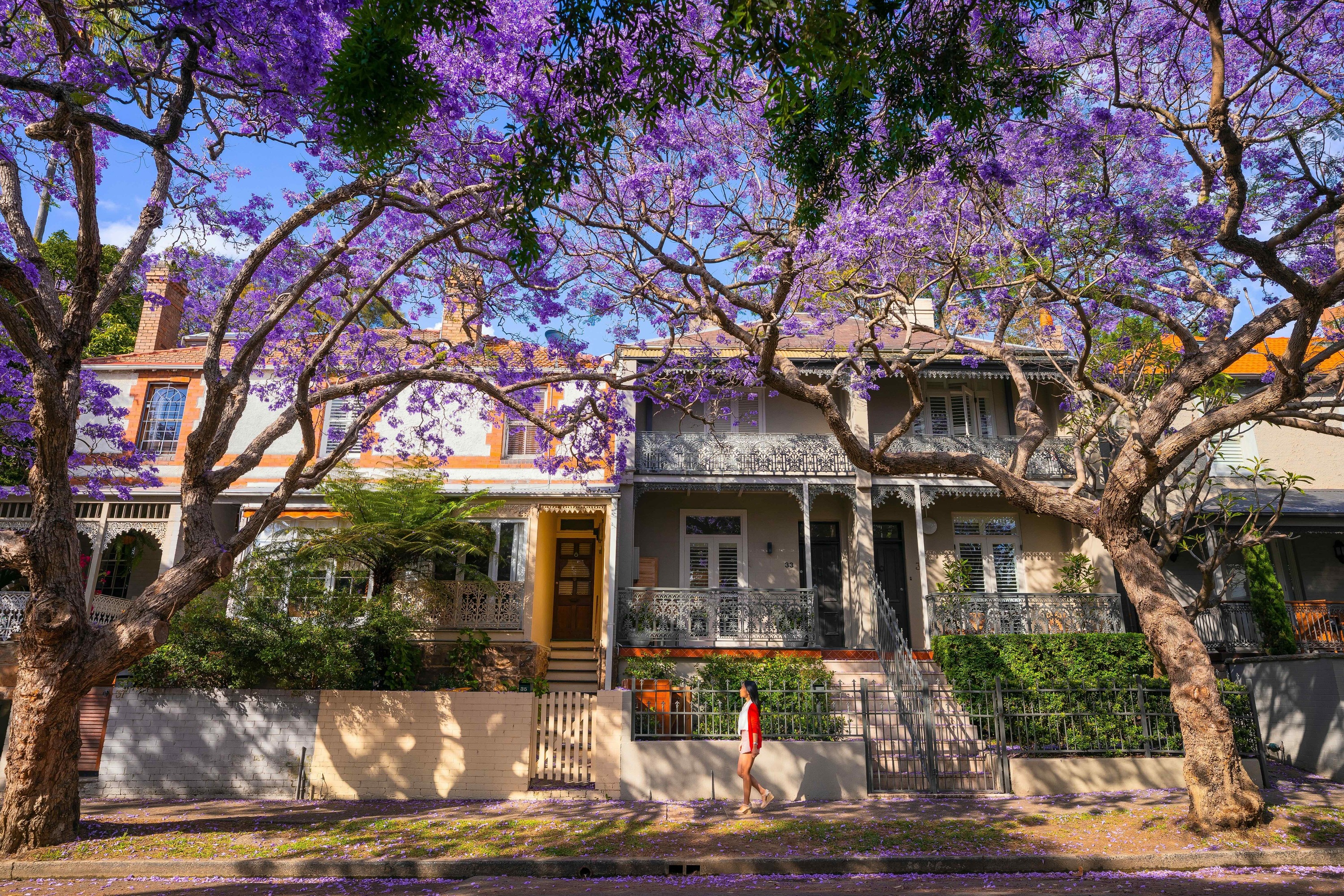 Australia’s 10 most popular postcodes have been revealed for 2025