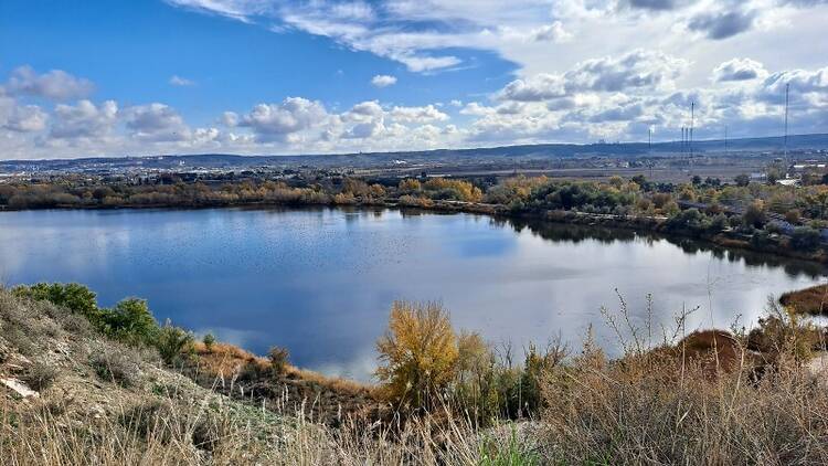 Laguna del Campillo (Rivas-Vaciamadrid y Arganda del Rey)