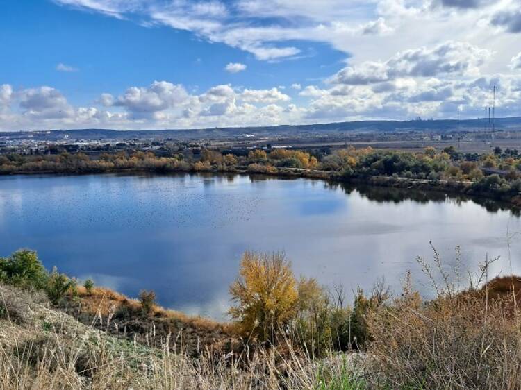 Laguna del Campillo (Rivas-Vaciamadrid y Arganda del Rey)