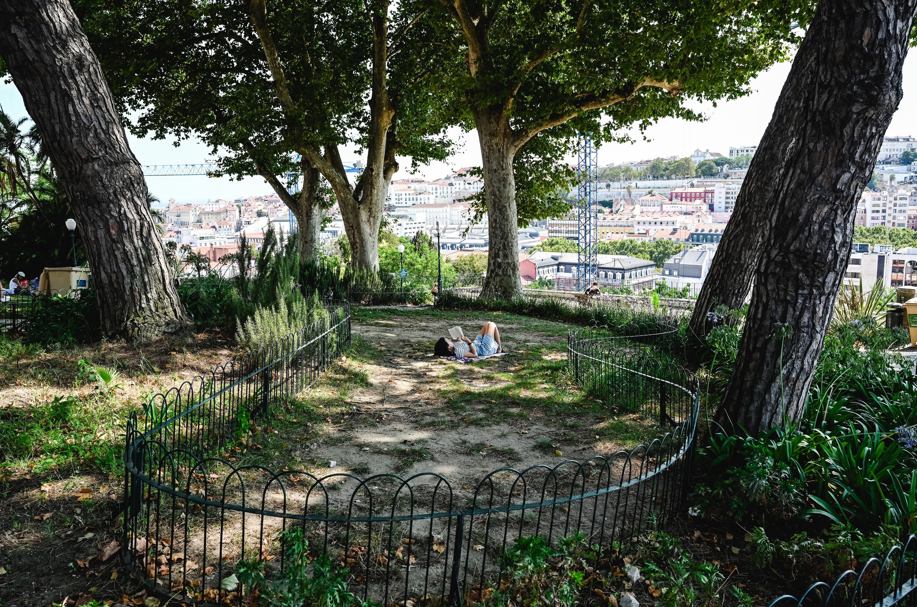 Lisbon's Gardens in Crisis: From Neglect to Lack of Pride, What's Really Happening?