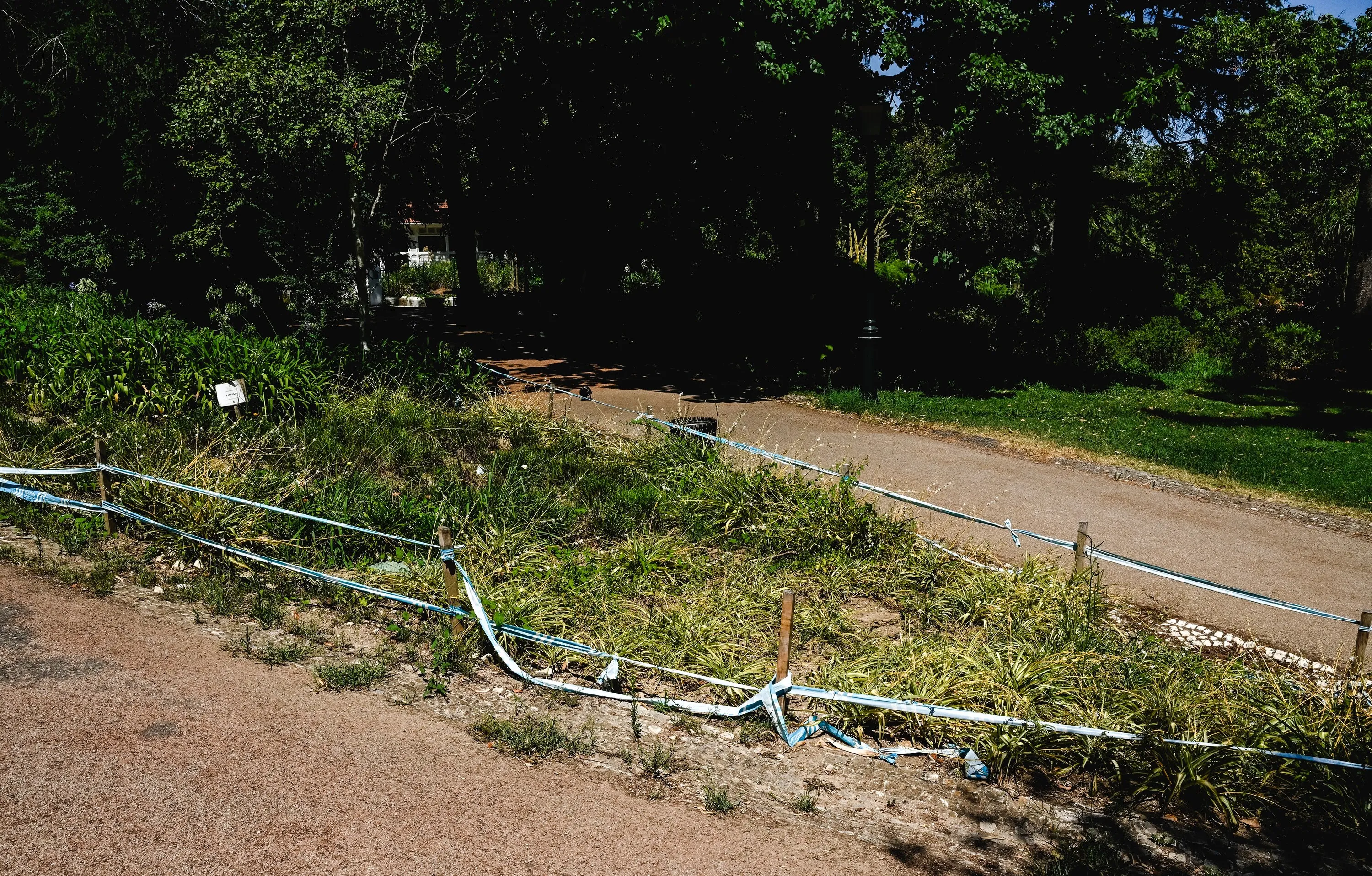 Jardim da Estrela