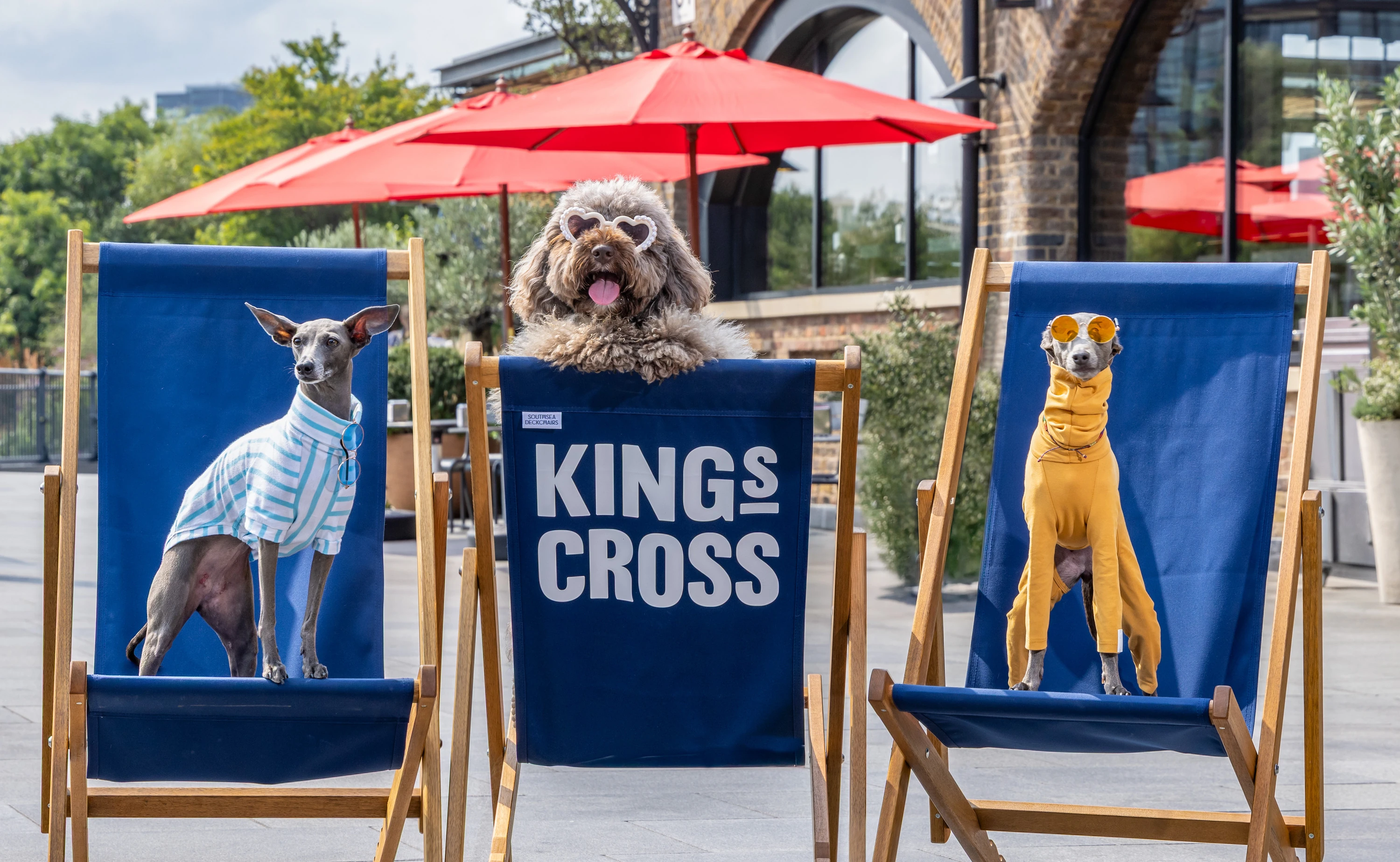 Big Woof dog festival in King's Cross