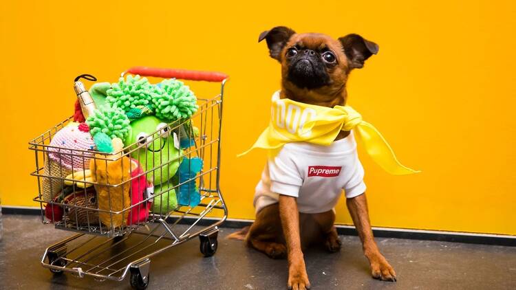 PetCon