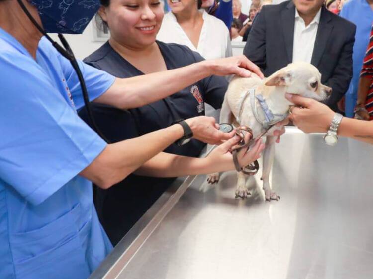 Hospital Veterinario Arenal