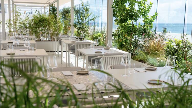 Bica do Sapato Bica do Sapato