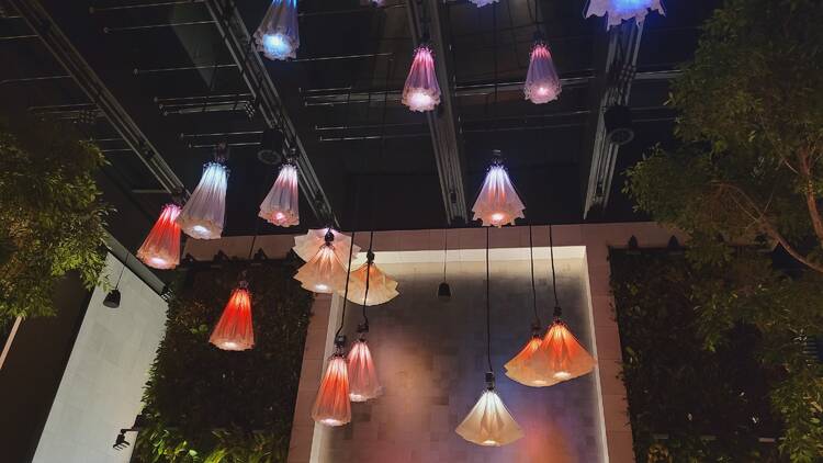 Colourful blooming lights hanging from the ceiling