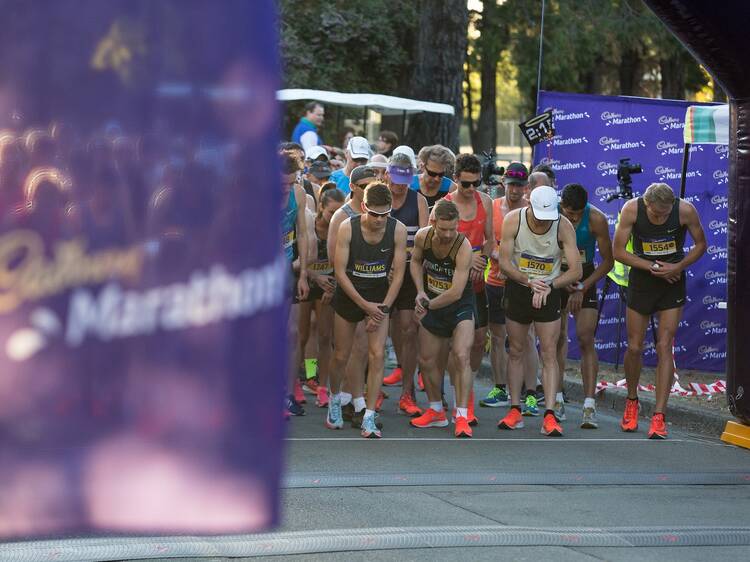 Cadbury Marathon, TAS Cadbury Marathon, TAS