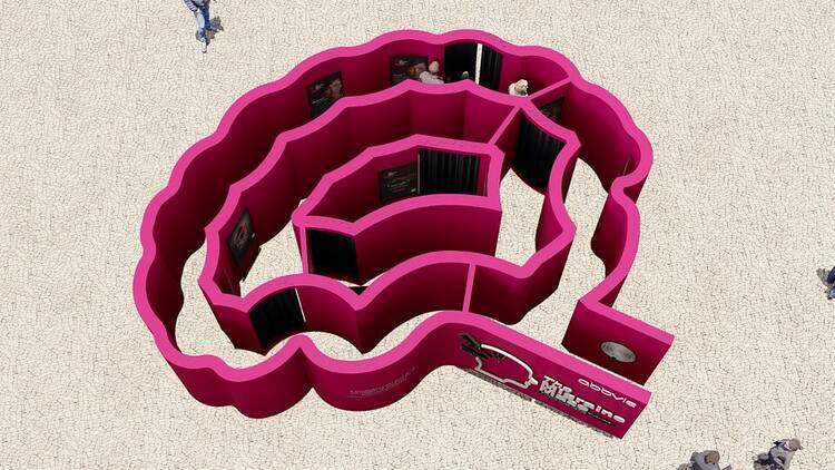 The Migraine Maze
