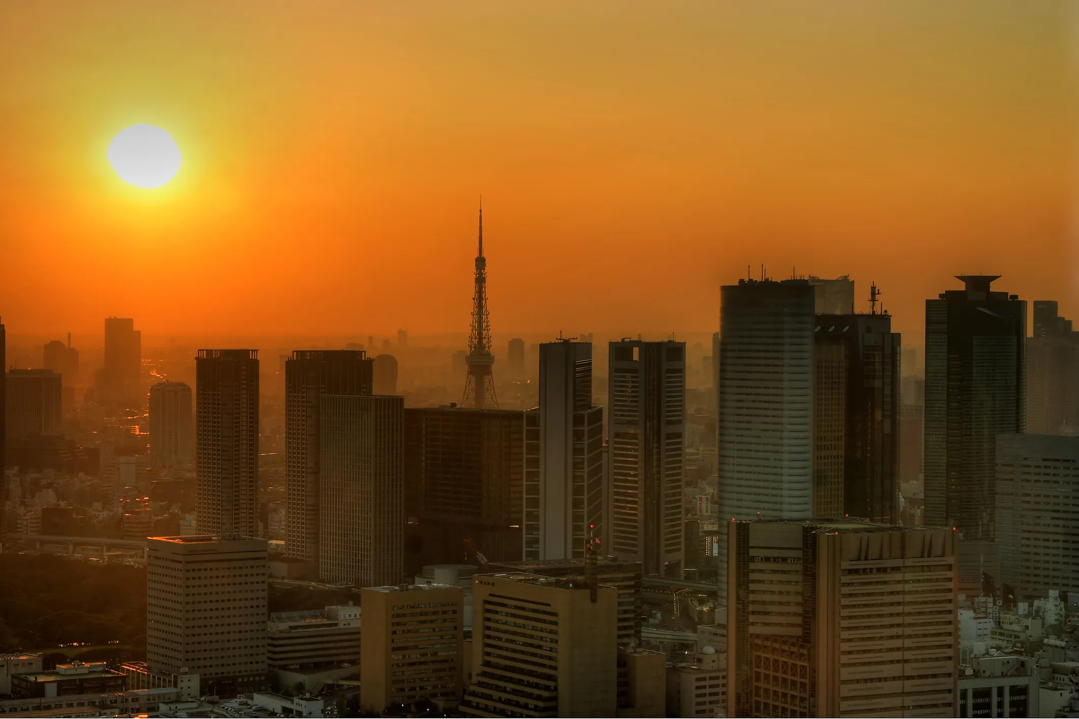 Tokyo summer