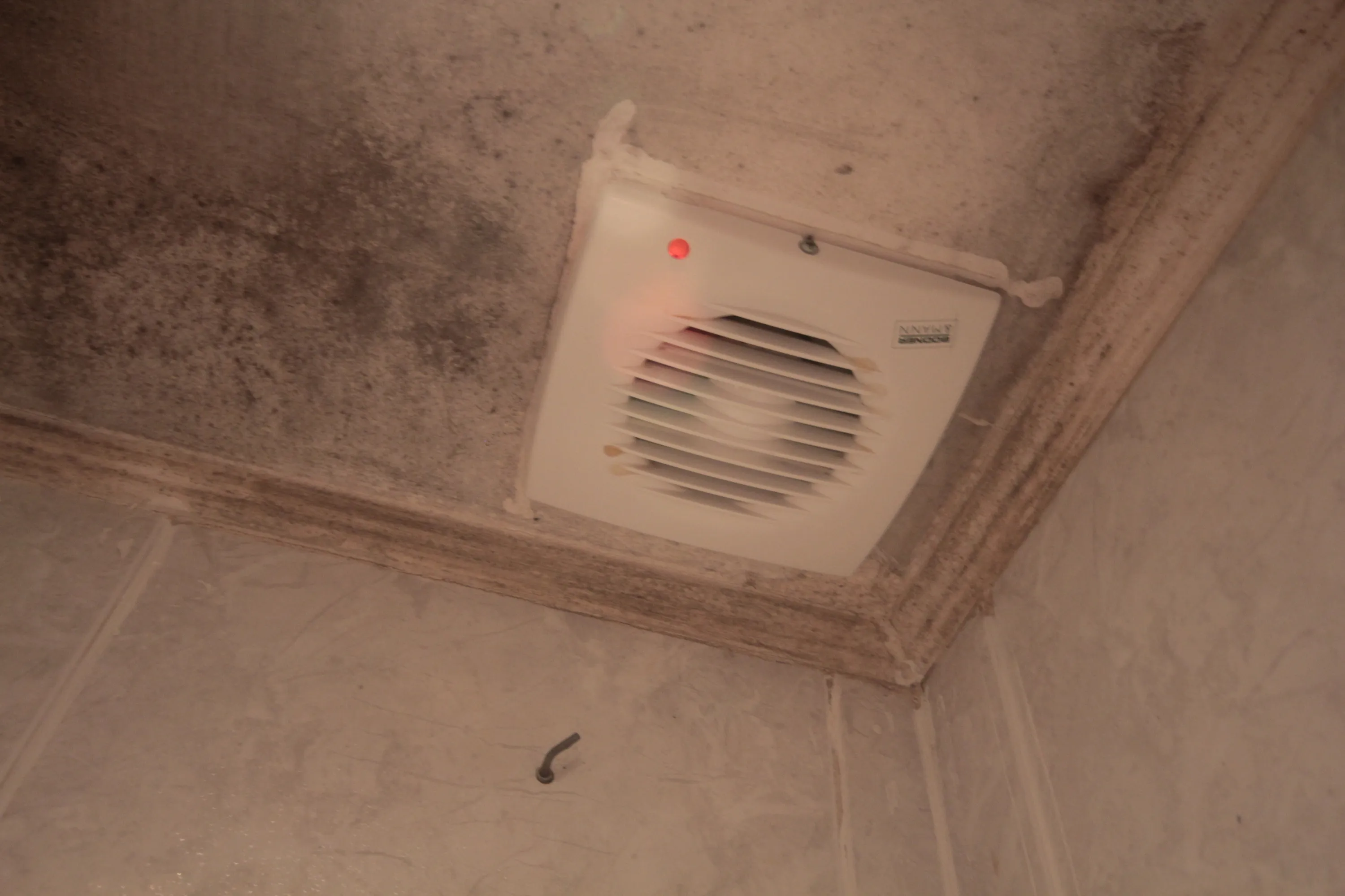 Bathroom mould