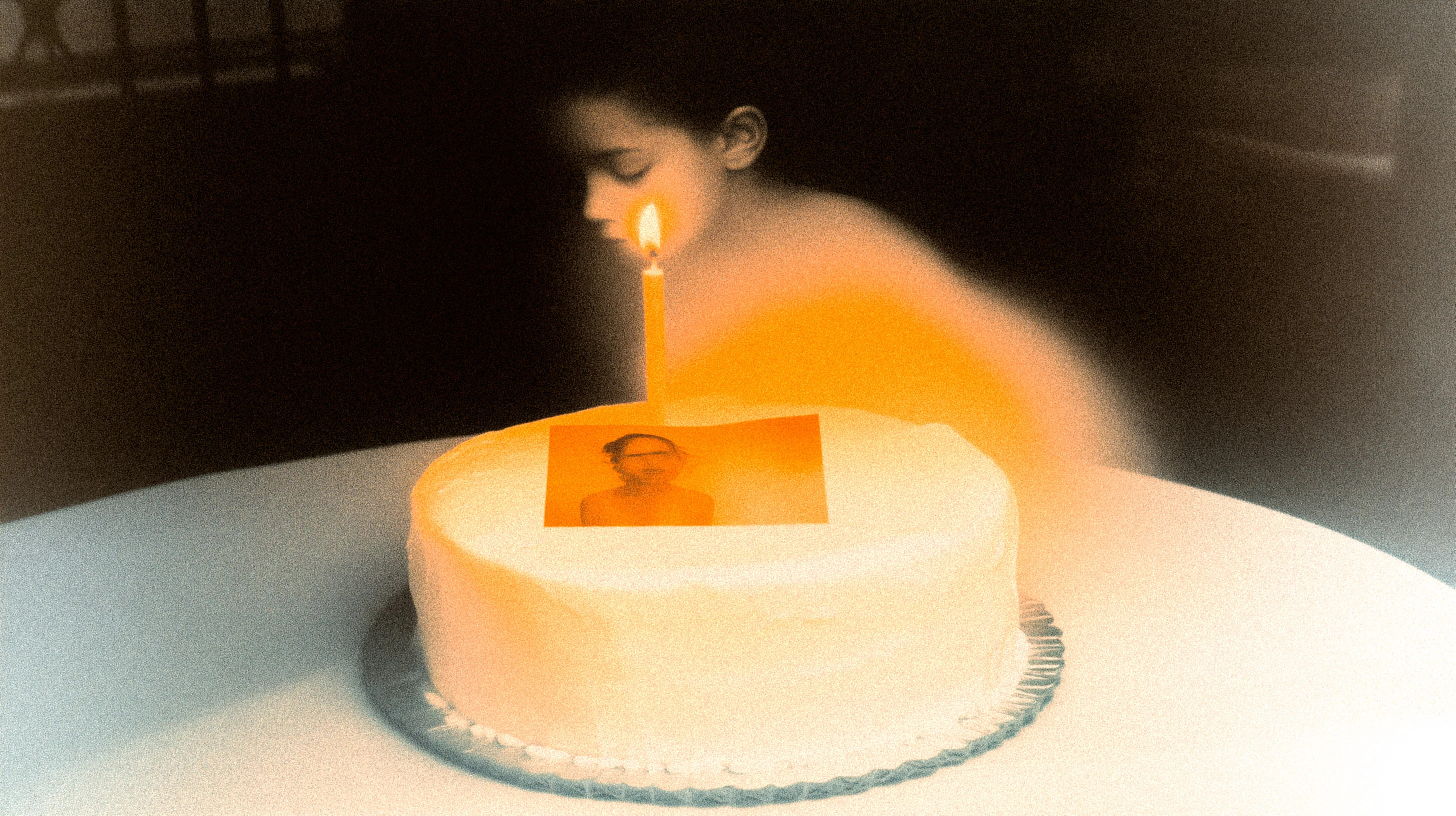 &copy; Virginia Rota