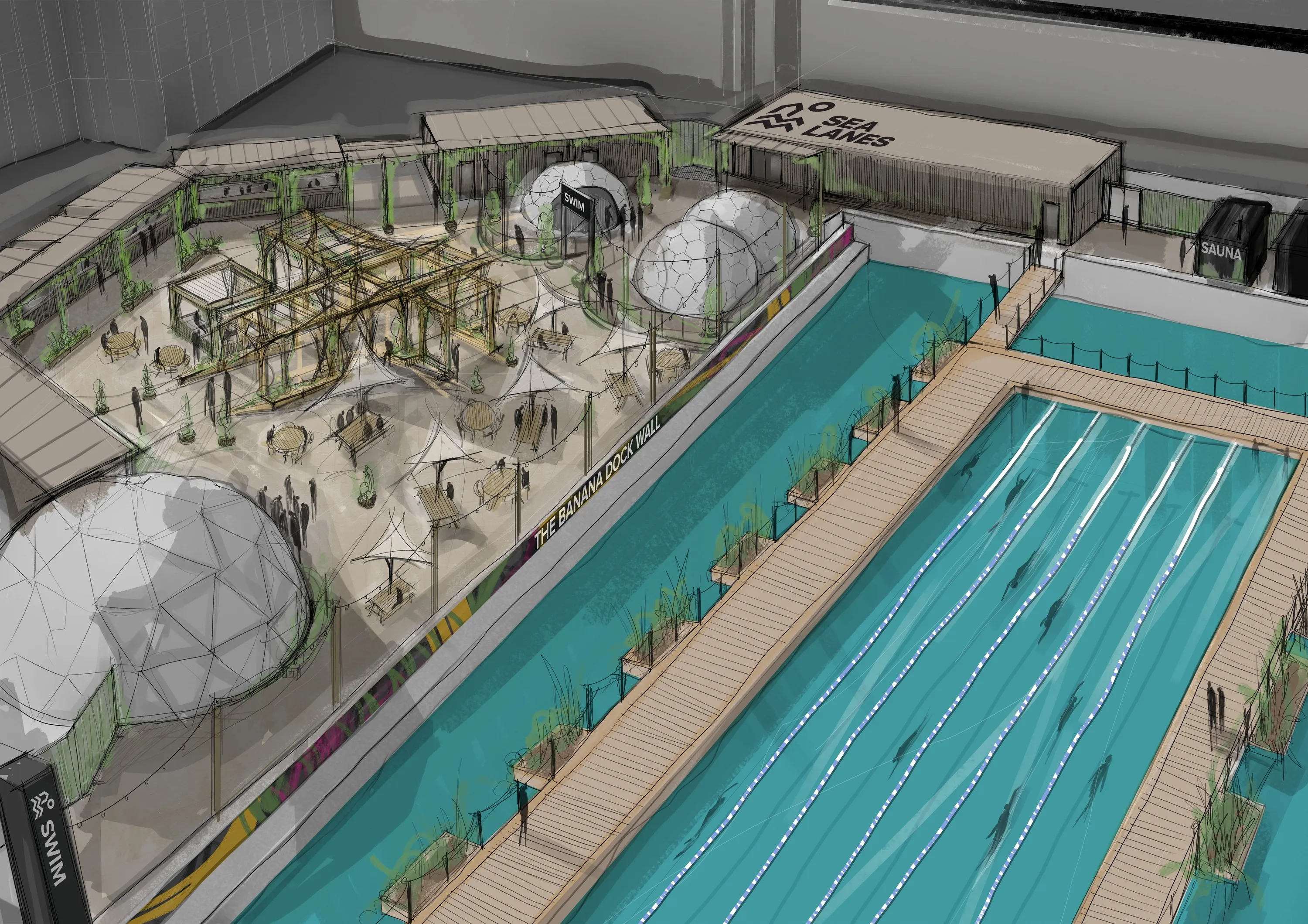 Illustration of a 50m outdoor swimming pool with wooden boardwalk