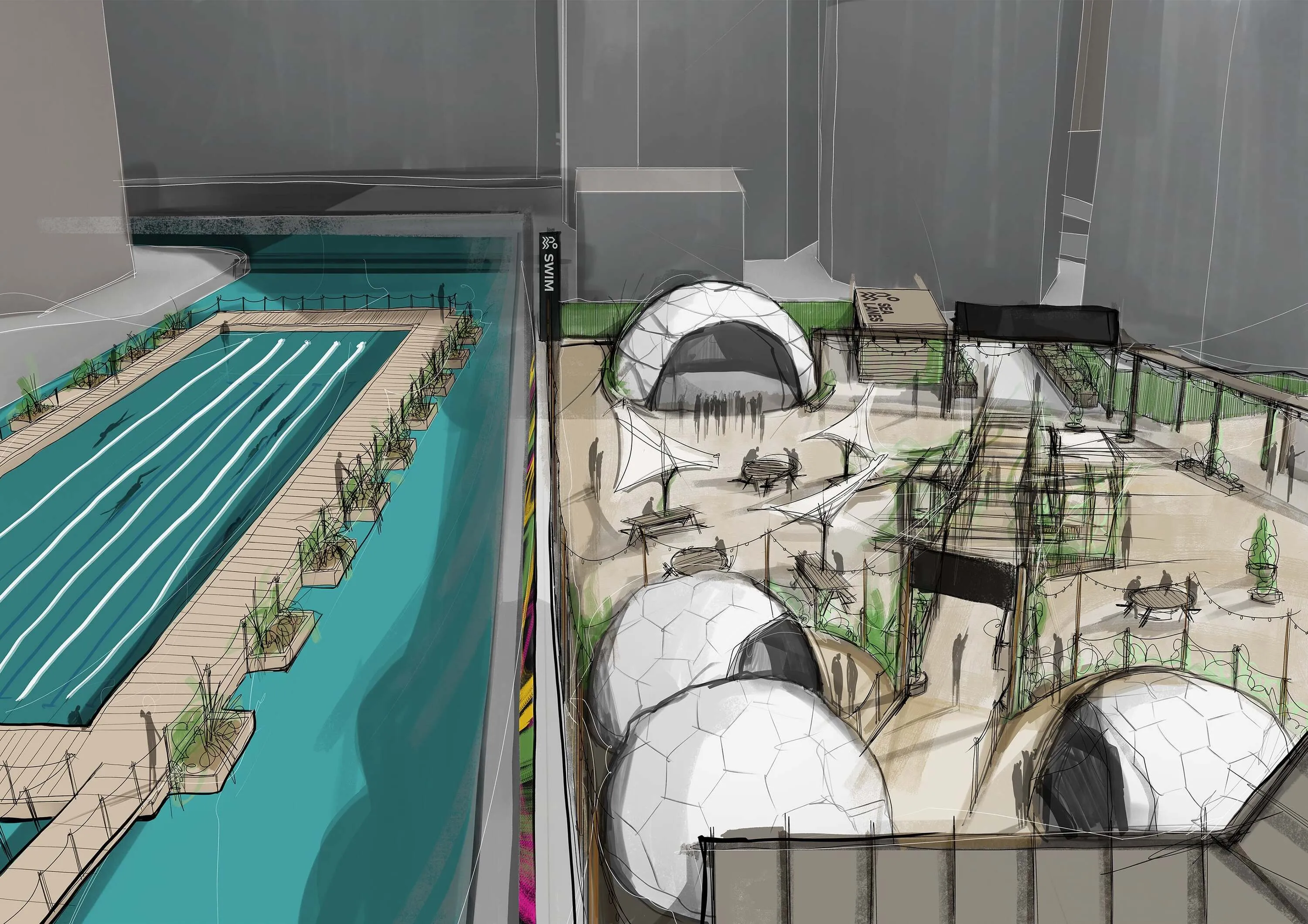 Illustration of a 50m outdoor swimming pool with wooden boardwalk