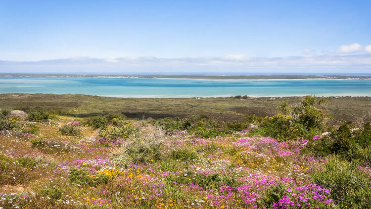 West Coast National Park