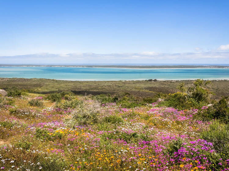 West Coast National Park
