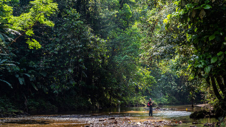 Man taking pictures of the beautiful and scenic landscape surrounding a shallow jungle river at Drake Bay