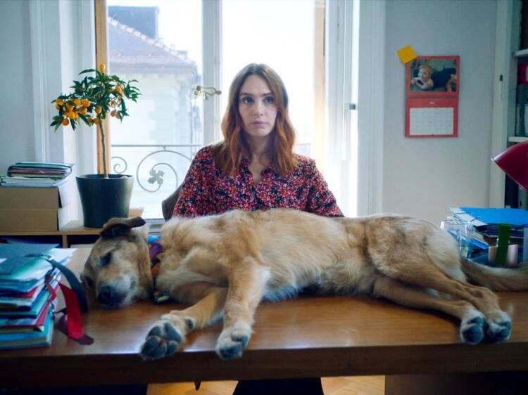 El Juicio de un Perro