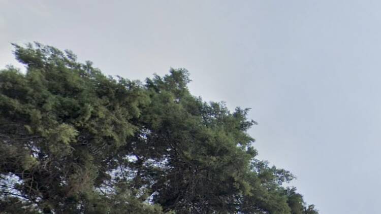 La Casa Negra La Casa Negra