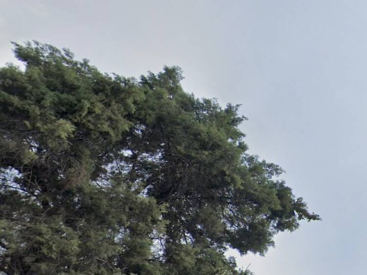 La Casa Negra La Casa Negra