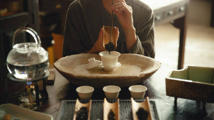 CASICA KABUTOCHO CASICA KABUTOCHO