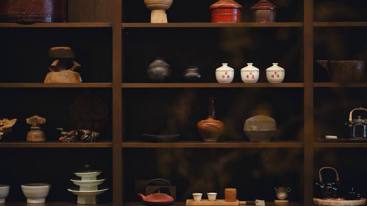 CASICA KABUTOCHO CASICA KABUTOCHO