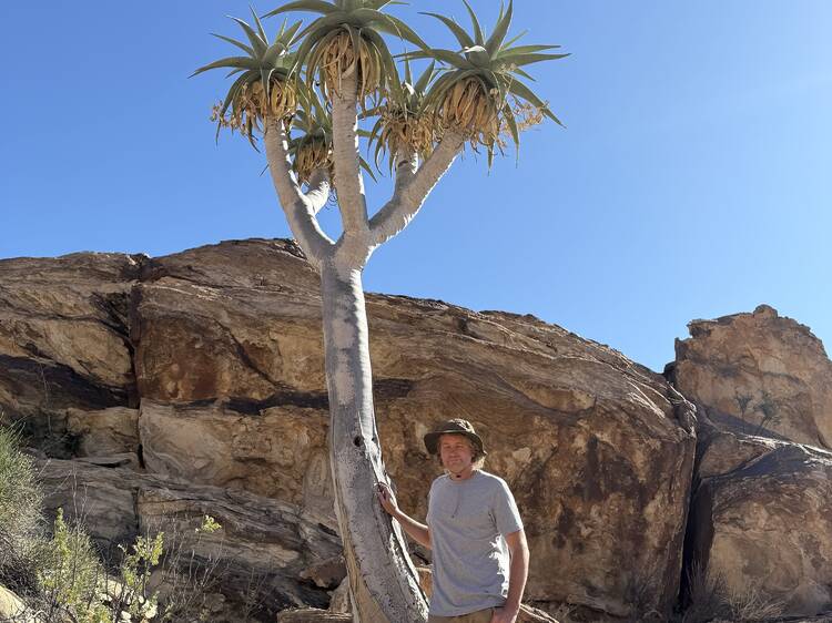 |Ai-|Asi/Richtersveld Transfrontier Park |Ai-|Asi/Richtersveld Transfrontier Park