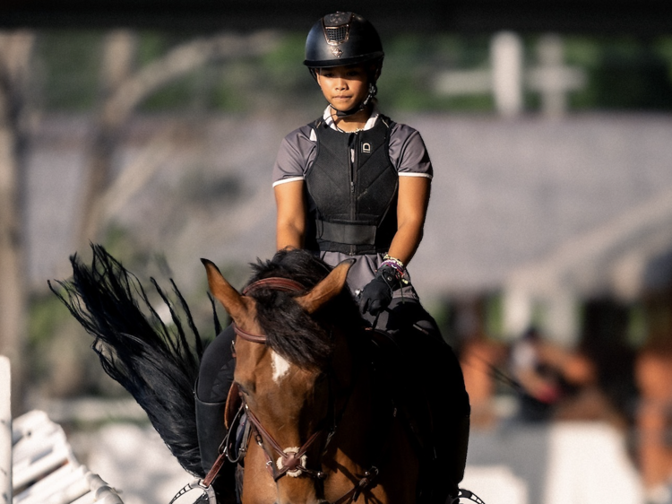 Show jumping and dressage training competition