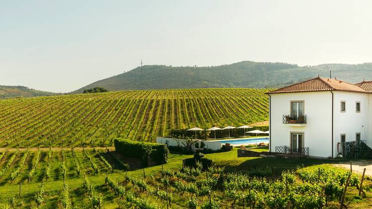 The Manor House of Celeirós