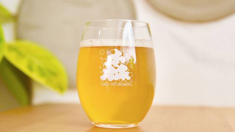 3Tree Brewery