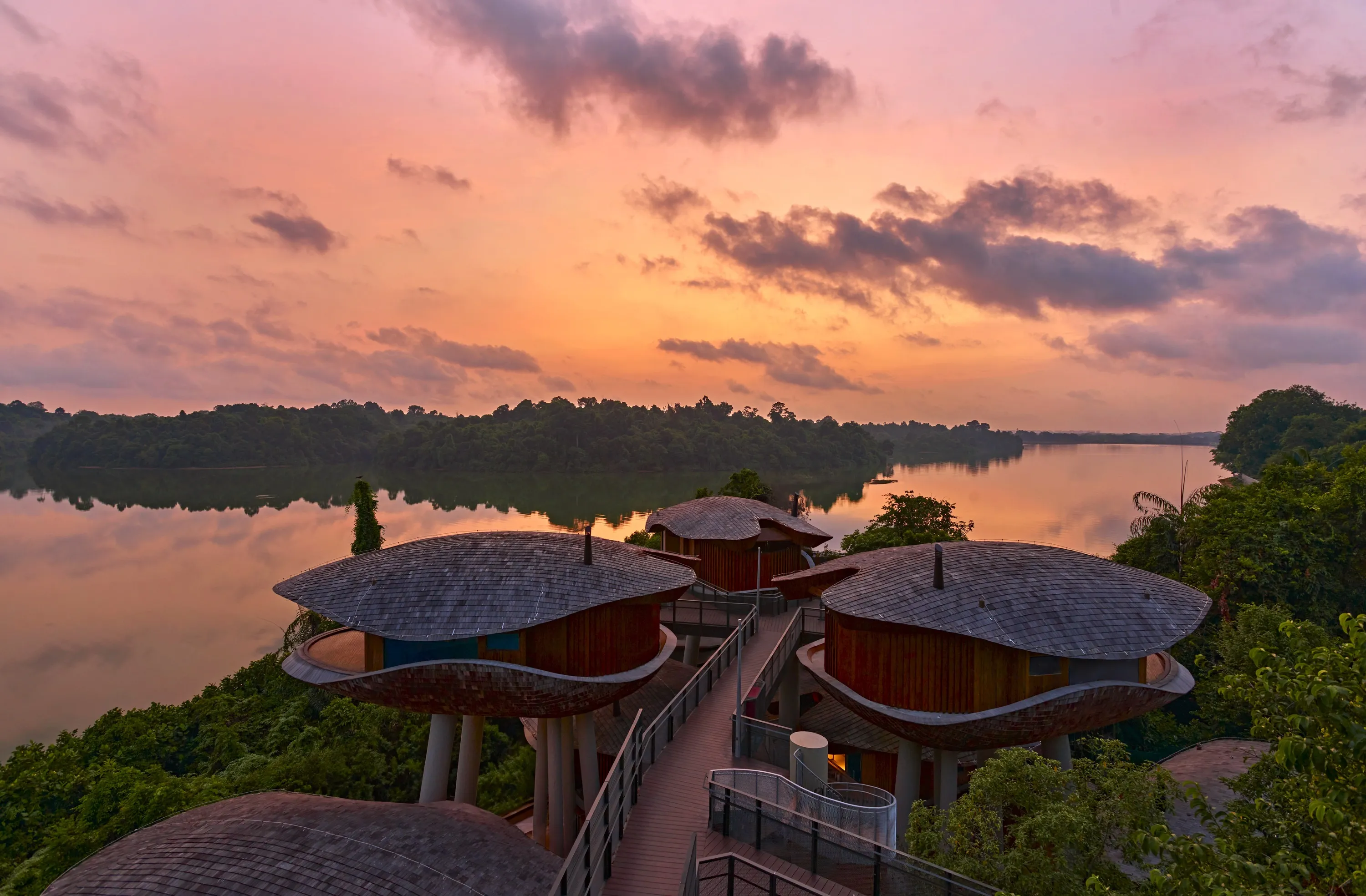 Mandai Rainforest Resort